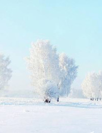Зимний пейзаж-118
