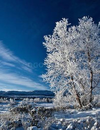 Зимний пейзаж-020