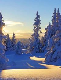 Зимний пейзаж-090