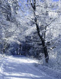 Зимний пейзаж-037
