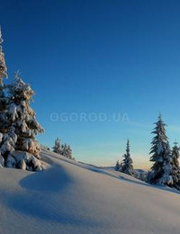Зимний пейзаж-103