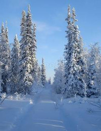 Зимний пейзаж-110