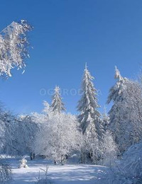 Зимний пейзаж-104