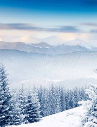 Зимний пейзаж-074