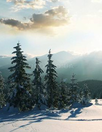 Зимний пейзаж-070