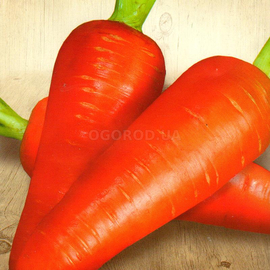 Семена моркови «Алёнка», ТМ «СЕМЕНА УКРАИНЫ» - 2 грамма