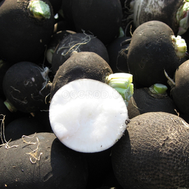 Семена редьки «Черная зимняя», ТМ OGOROD - 20 грамм