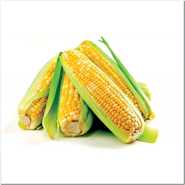 Семена кукурузы «Лакомка», ТМ OGOROD - 100 грамм