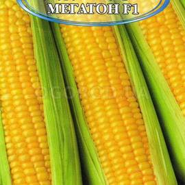 Семена кукурузы «Мегатон» F1, ТМ Harris Moran - 8 грамм