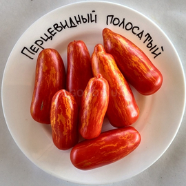 Семена томата «Перцевидный полосатый красный», серия «От автора» - 100 семян