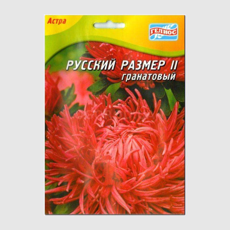 Кликните для увеличения изображения Семена астры «Русский размер II гранатовый», ТМ «ГЕЛИОС» - 70 семян