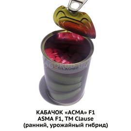 Семена кабачка «Асма» F1 / ASMA F1, ТМ Clause - 500 cемян