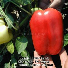 Семена перца сладкого «Никита» F1 / Nikita F1, ТМ Clause - 5 семян