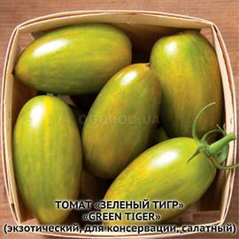 Семена томата «Green Tiger» (Зеленый тигр), серия «От автора» - 10 семян