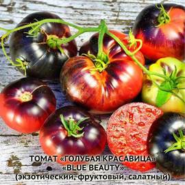 Семена томата «Blue Beauty» (Голубая красавица), серия «От автора» - 10 семян