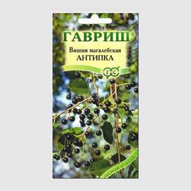 Семена вишни магалебской «Антипка» / Prunus mahaleb, ТМ «ГАВРИШ» - 1 грамм