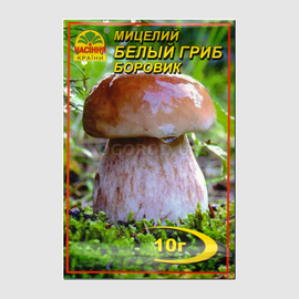 Мицелий гриба «Белый боровик» / Boletus edulis, ТМ «НАСІННЯ КРАЇНИ» - 10 грамм
