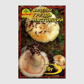 Мицелий гриба «Груздь настоящий» / Lactarius resimus, ТМ «НАСІННЯ КРАЇНИ» - 10 грамм