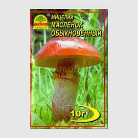 Мицелий гриба «Маслёнок обыкновенный» / Suillus luteus, ТМ «НАСІННЯ КРАЇНИ» - 10 грамм