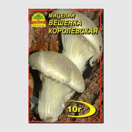 Мицелий гриба «Вешенка королевская» / Pleurotus eryngii, ТМ «НАСІННЯ КРАЇНИ» - 10 грамм