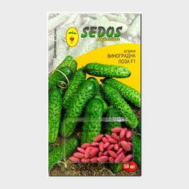 Семена огурца «Виноградная лоза» F1 дражированные, ТМ SEDOS - 50 семян