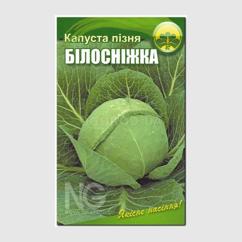 Капуста белоснежка описание сорта. Капуста Белоснежка. Капуста Белоснежка описание сорта фото отзывы садоводов.