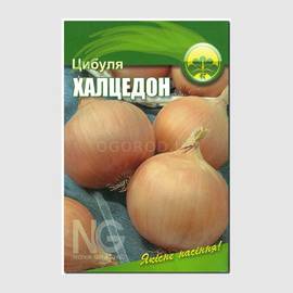 Семена лука «Халцедон» (репчатый), ТМ OGOROD - 10 грамм (ОПТ - 10 пакетов)