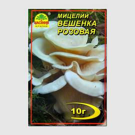 Мицелий гриба «Вешенка розовая», ТМ «НАСІННЯ КРАЇНИ» - 10 грамм