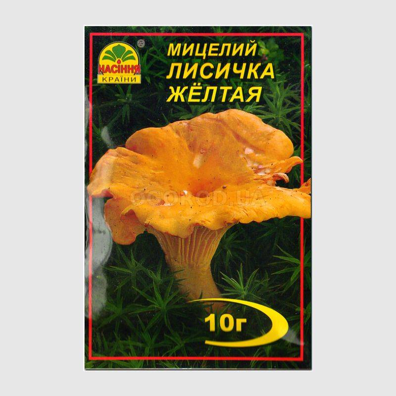 Кликните для увеличения изображения Мицелий гриба «Лисичка желтая», ТМ «НАСІННЯ КРАЇНИ» - 10 грамм
