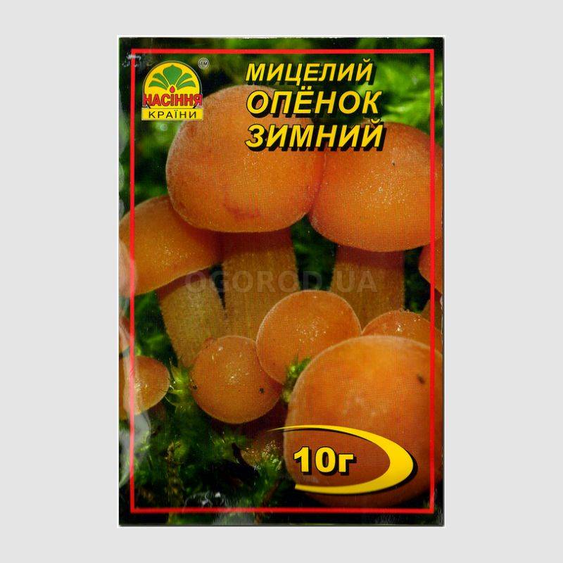 Кликните для увеличения изображения Мицелий гриба «Опенок зимний», ТМ «НАСІННЯ КРАЇНИ» - 10 грамм