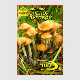 Мицелий гриба «Опенок луговой», ТМ «НАСІННЯ КРАЇНИ» - 10 грамм