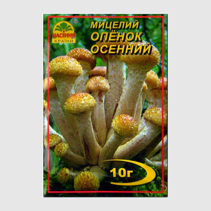 Кликните для увеличения изображения Мицелий гриба «Опенок осенний», ТМ «НАСІННЯ КРАЇНИ» - 10 грамм