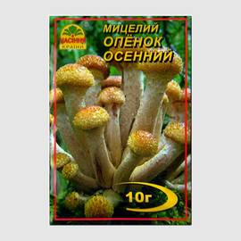 Мицелий гриба «Опенок осенний», ТМ «НАСІННЯ КРАЇНИ» - 10 грамм