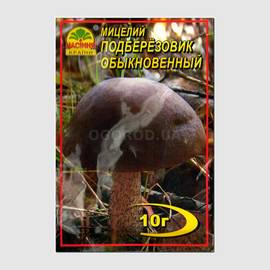 Мицелий гриба «Подберезовик обыкновенный», ТМ «НАСІННЯ КРАЇНИ» - 10 грамм