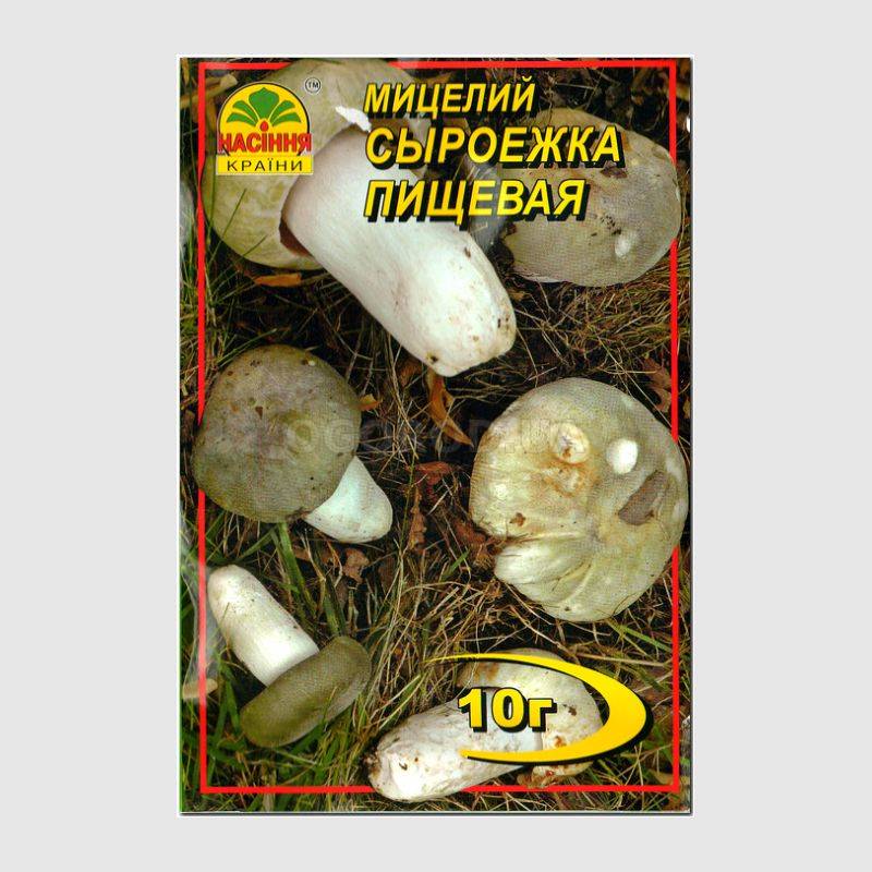 Кликните для увеличения изображения Мицелий гриба «Сыроежка пищевая», ТМ «НАСІННЯ КРАЇНИ» - 10 грамм