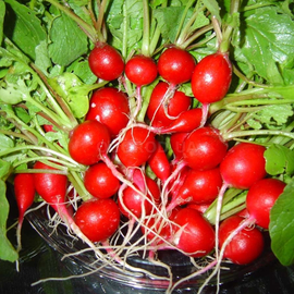 Семена редиса «Ранний красный», ТМ OGOROD - 2 грамма