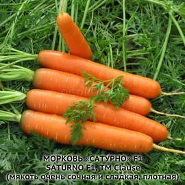Семена моркови «Сатурно» F1 / Saturno F1, ТМ Clause - 130 семян