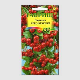 Семена пираканты «Ярко-красная» / Pyracantha M.Roem., ТМ ГАВРИШ - 5 семян
