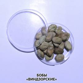 Семена бобов «Виндзорские» (коричневые), ТМ OGOROD - 10 семян