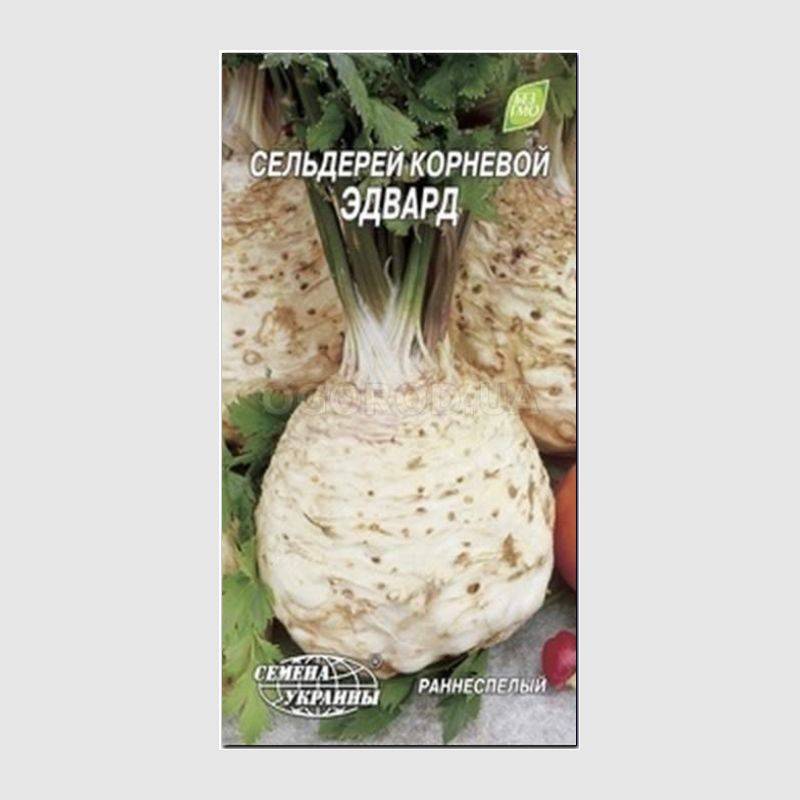 Кликните для увеличения изображения Семена сельдерея корневого «Эдвард», ТМ «СЕМЕНА УКРАИНЫ» - 0,5 грамм