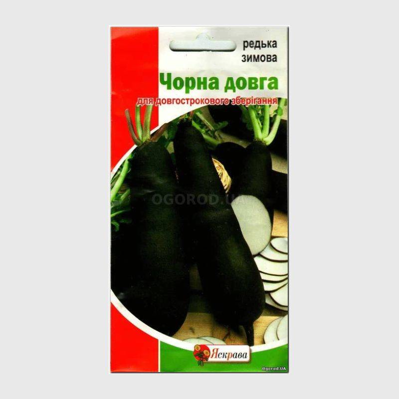 Кликните для увеличения изображения Семена сельдерея «МОНАРХ» / насіння селери Monarch, ТМ Nunhems - 100 семян