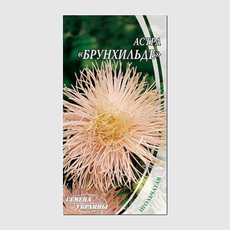 Кликните для увеличения изображения Семена астры игольчатой «Брунхильде», ТМ «СЕМЕНА УКРАИНЫ» - 0,3 грамма