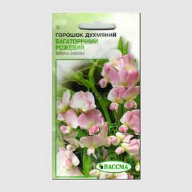 Семена душистого горошка многолетнего розового, ТМ «ВАССМА» - 1 грамм
