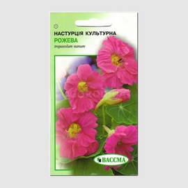 Семена настурции розовой, ТМ «ВАССМА» - 1,5 грамм