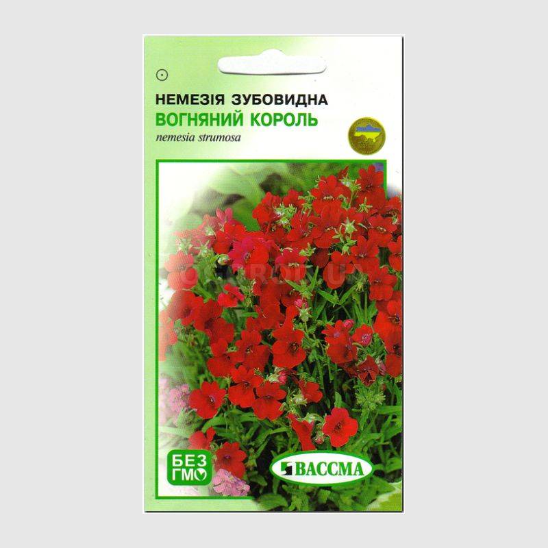 Семена Немезии Купить В Спб