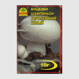 Мицелий гриба «Шампиньон королевский белый», ТМ «НАСІННЯ КРАЇНИ» - 10 грамм