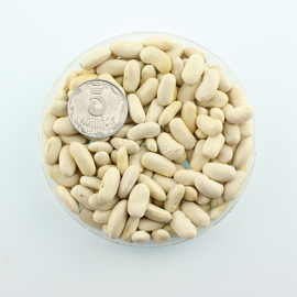 Семена фасоли спаржевой «Шахиня», ТМ OGOROD - 100 грамм
