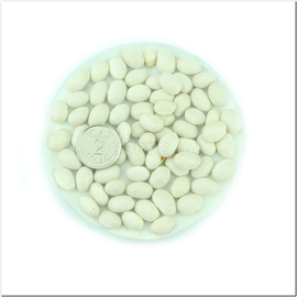 Семена фасоли «Лопатка», ТМ OGOROD - 100 грамм