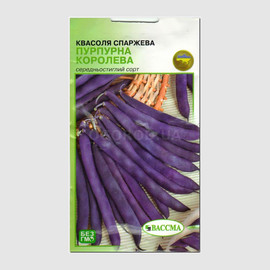 Семена фасоли «Пурпурная королева», ТМ «ВАССМА» - 10 грамм