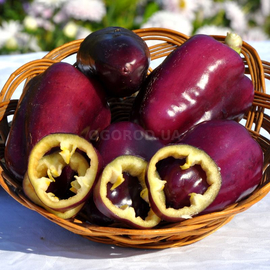 Семена перца сладкого «Фиолетовый красавец», серия «От автора» - 5 семян